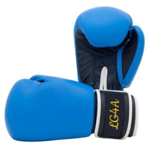 Boxing Gloves SSS-112