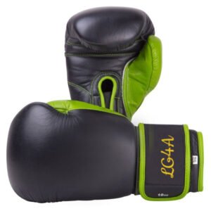 Boxing Gloves SSS-112