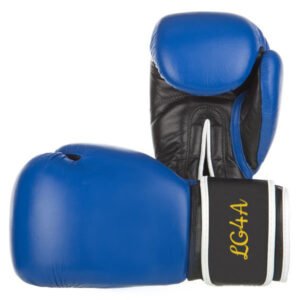 Boxing Gloves SSS-110