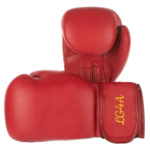 Boxing Gloves SSS-109