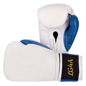 Boxing Gloves SSS-108