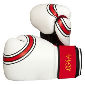 Boxing Gloves SSS-107