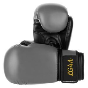 Boxing Gloves SSS-105