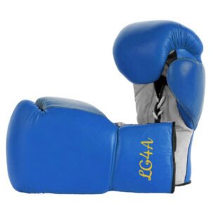 Boxing Gloves SSS-106