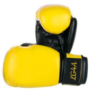 Boxing Gloves SSS-104