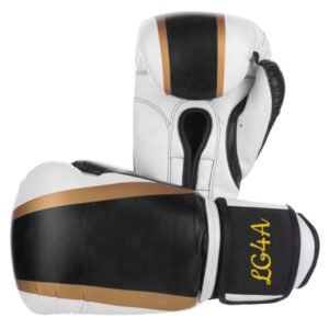 Boxing Gloves SSS-102